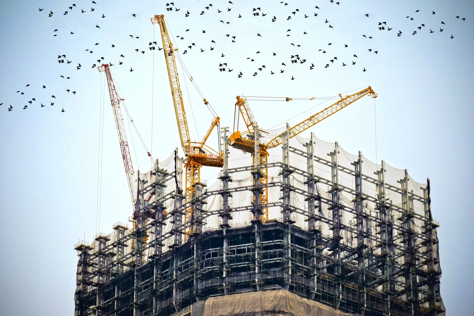 The quick guide to project tendering for government