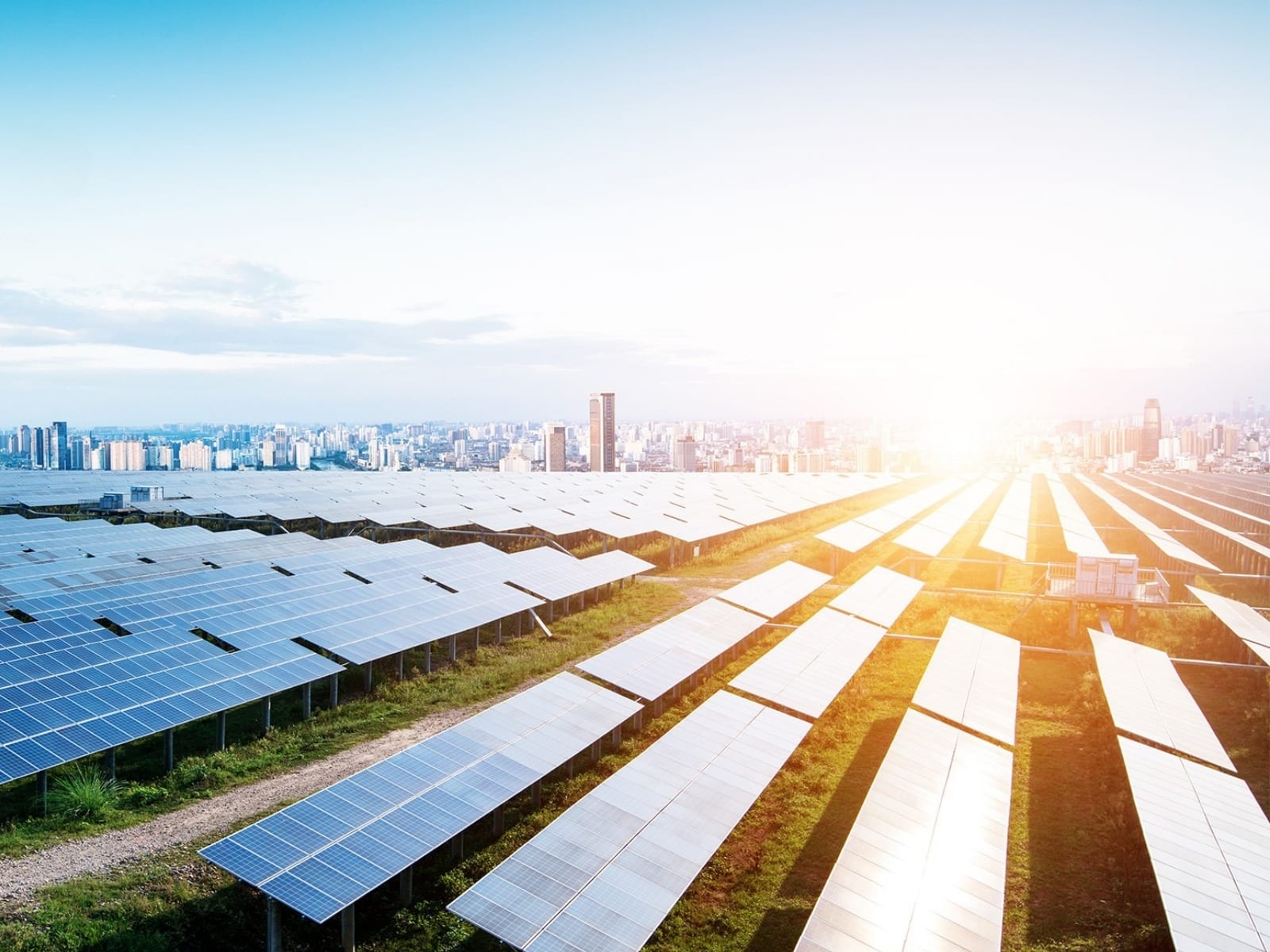 EcoGreen Energy Solutions